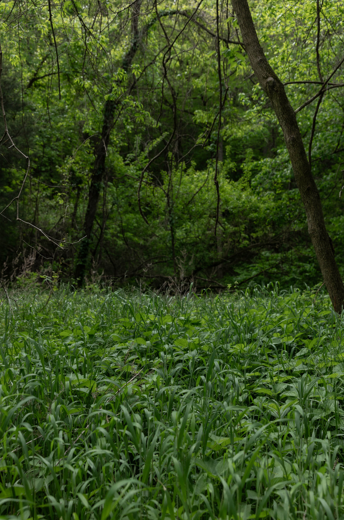 A Partnership with Nature