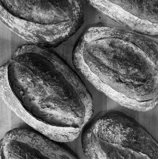 Sourdough Bread Level One - November 22, 2025